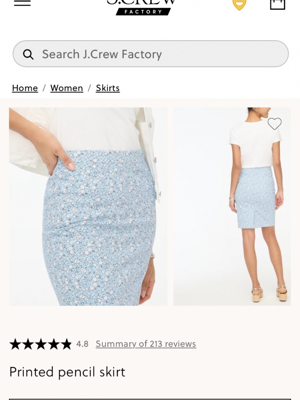 Pencil skirt